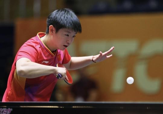 不仅推动了 不仅推动了